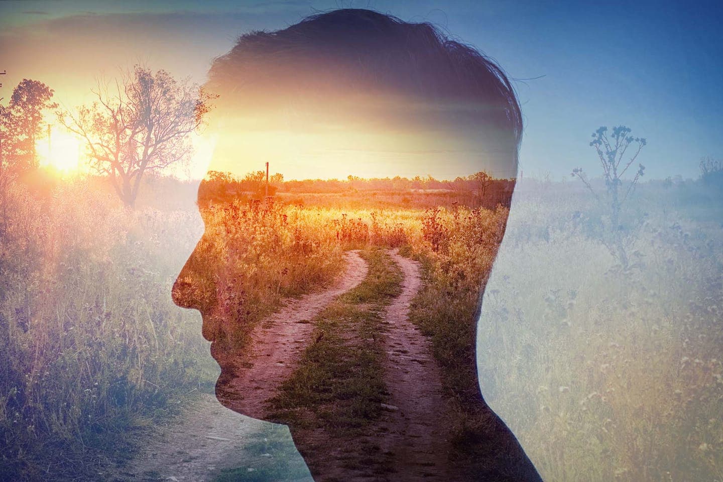 A silhouette of a head overlaid with a photograph of a path through a field at sunrise